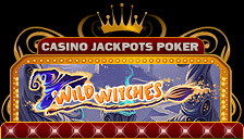 Machine &agrave; sous multiligne de casino en ligne