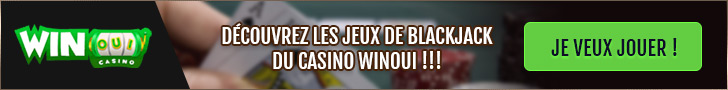 Jouer sur le casino en ligne WinOui