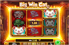 Bonus et gains sur la machine à sous Big Cat Win !