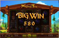 Des bonus à gogo sur cette slot de casino !