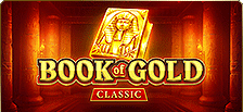Machine à sous vidéo Book of Gold